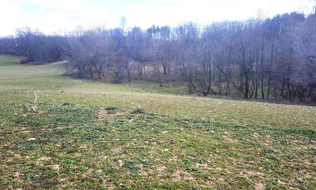 13245 Logan Road, Manchester, MI 48158