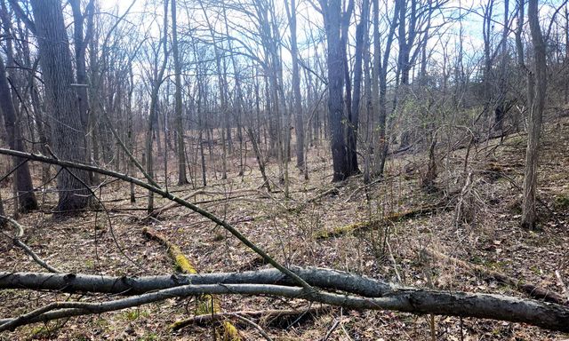 13245 Logan Road, Manchester, MI 48158