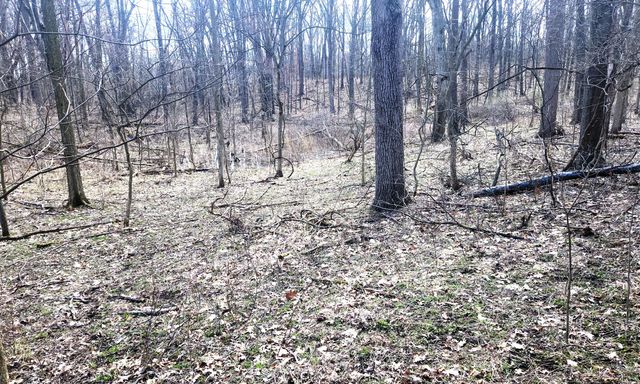 13245 Logan Road, Manchester, MI 48158