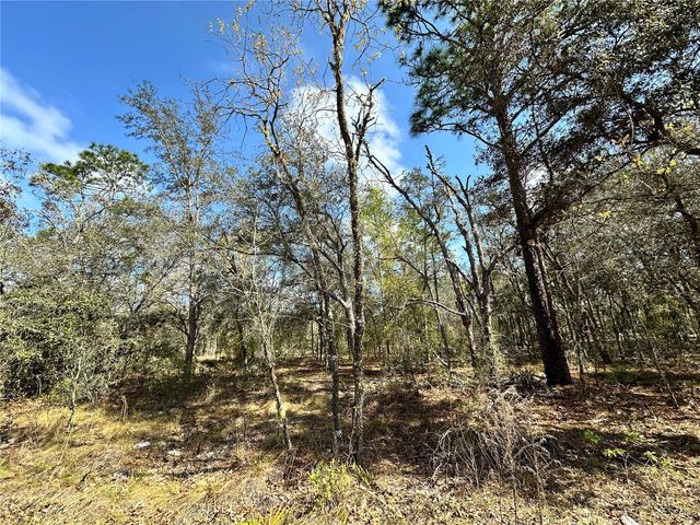 TBD NE 68TH PLACE, Bronson, FL 32621