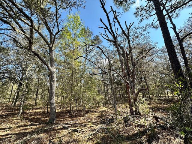 TBD NE 68TH PLACE, Bronson, FL 32621