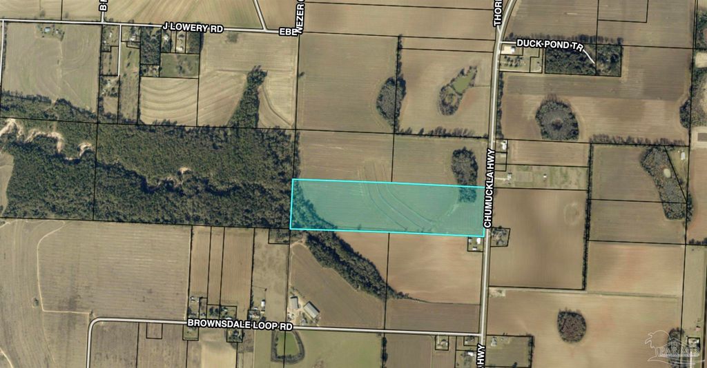 40 Acres Chumuckla Hwy, Jay, FL 32565
