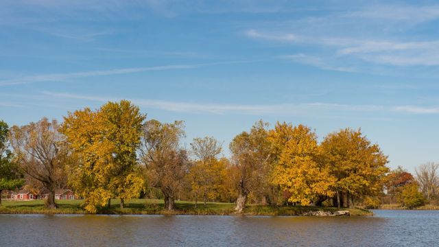 1542 Meadow View Lane, Grayslake, IL 60030