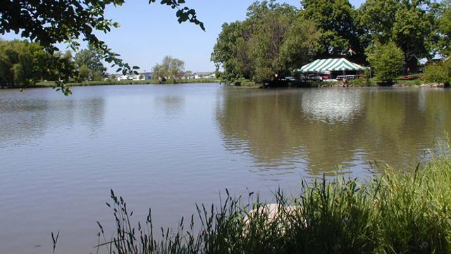 1542 Meadow View Lane, Grayslake, IL 60030