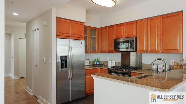 1 Spring Street 1102, New Brunswick, NJ 08901