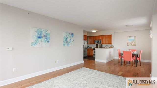 1 Spring Street 1102, New Brunswick, NJ 08901