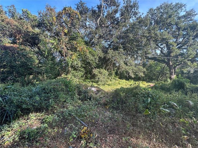 11911 LEROY SHEPPARD ROAD, Thonotosassa, FL 33592