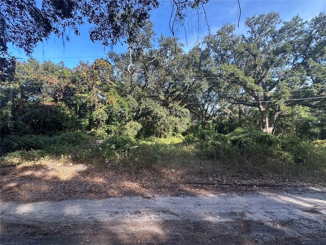 11911 LEROY SHEPPARD ROAD, Thonotosassa, FL 33592