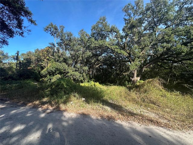 11911 LEROY SHEPPARD ROAD, Thonotosassa, FL 33592