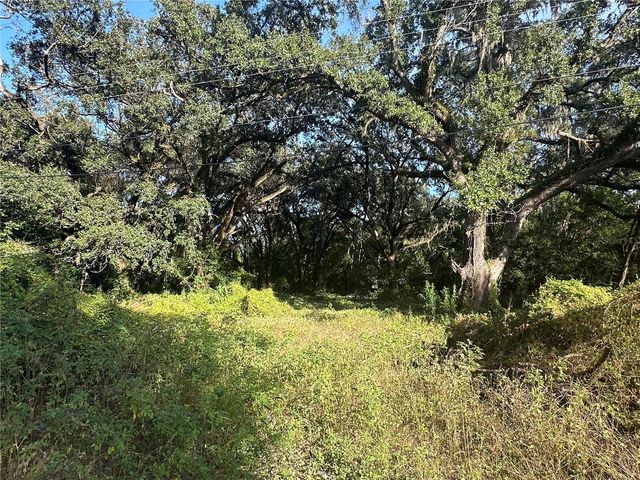 11911 LEROY SHEPPARD ROAD, Thonotosassa, FL 33592