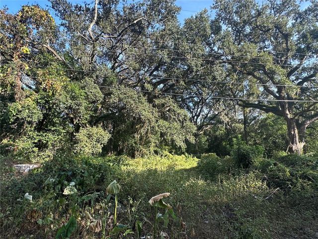 11911 LEROY SHEPPARD ROAD, Thonotosassa, FL 33592