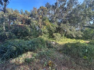 11911 LEROY SHEPPARD ROAD, Thonotosassa, FL 33592