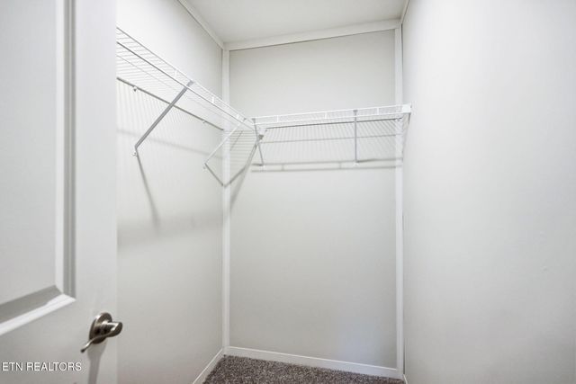 224 Sable Rd, Spring City, TN 37381