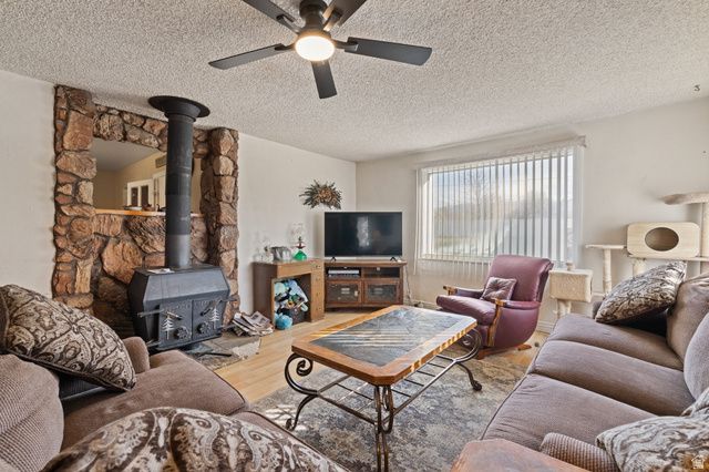 217 N 400 W, Mt Pleasant, UT 84647