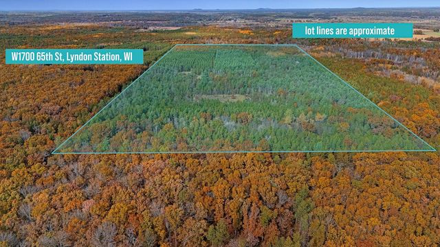 W1700 65TH STREET, Lyndon Station, WI 53944