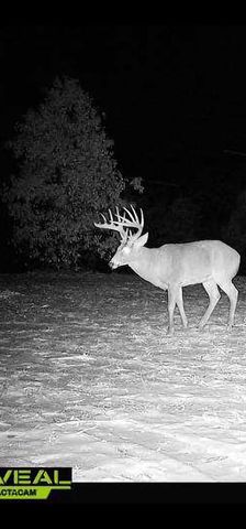 W1700 65TH STREET, Lyndon Station, WI 53944