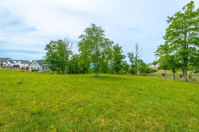 0 Bobcat Trail Jh206, Jasper, TN 37347