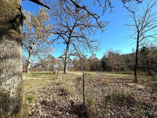 12494 Co Rd Oa, Mountain View, MO 65548