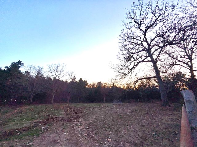 12494 Co Rd Oa, Mountain View, MO 65548