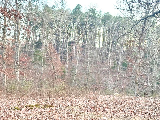 12494 Co Rd Oa, Mountain View, MO 65548