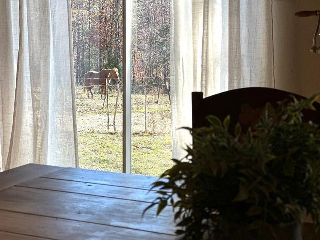 12494 Co Rd Oa, Mountain View, MO 65548