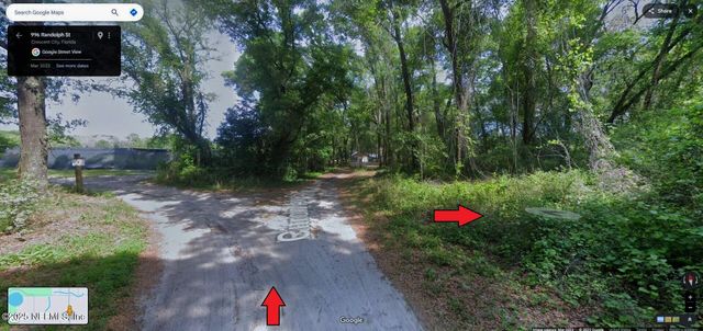 0 RANDOLPH Street, Crescent City, FL 32112