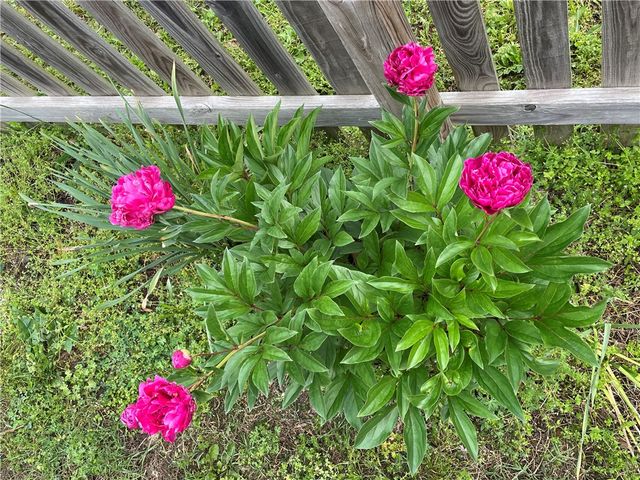 400 Harris Street, Huntsville, AR 72740