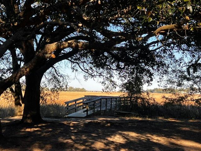 1457 Patterson Avenue, Charleston, SC 29412