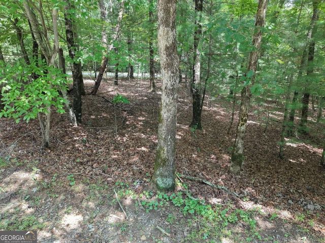 LOT 24 Possum Poke Road 24R, Ellijay, GA 30536