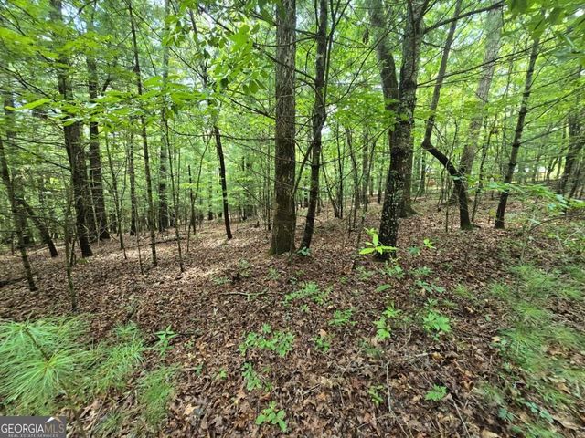 LOT 24 Possum Poke Road 24R, Ellijay, GA 30536
