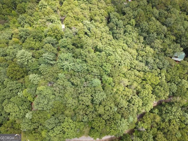LOT 24 Possum Poke Road 24R, Ellijay, GA 30536