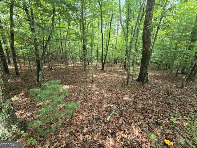 LOT 24 Possum Poke Road 24R, Ellijay, GA 30536