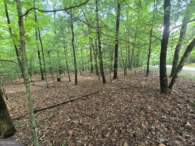 LOT 24 Possum Poke Road 24R, Ellijay, GA 30536