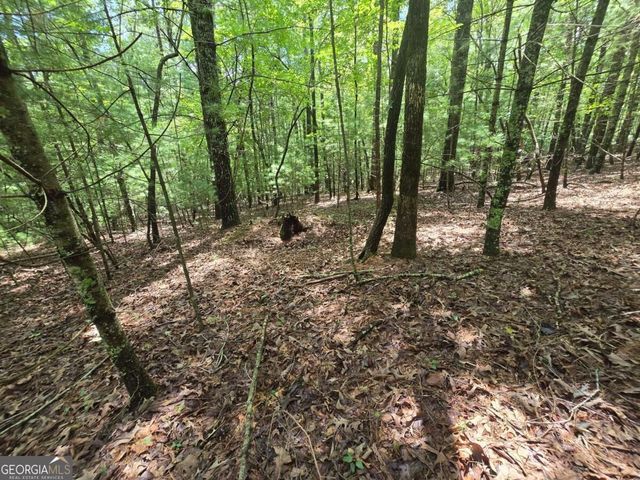 LOT 24 Possum Poke Road 24R, Ellijay, GA 30536