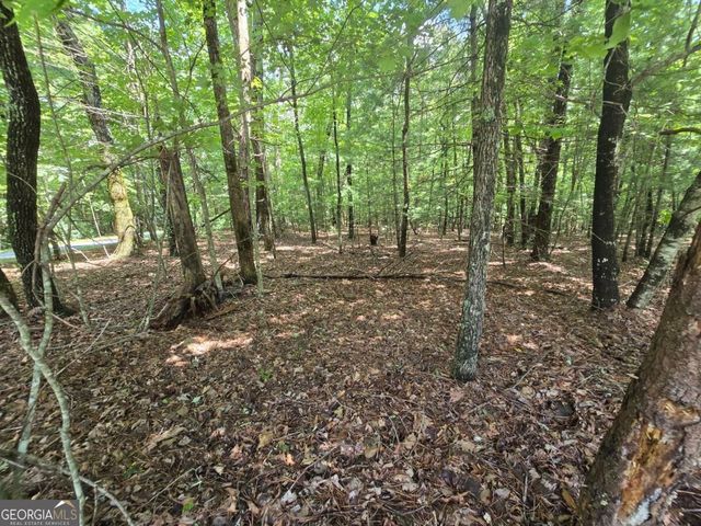 LOT 24 Possum Poke Road 24R, Ellijay, GA 30536