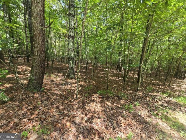 LOT 24 Possum Poke Road 24R, Ellijay, GA 30536