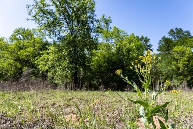 2990 FM 467, Seguin, TX 78155