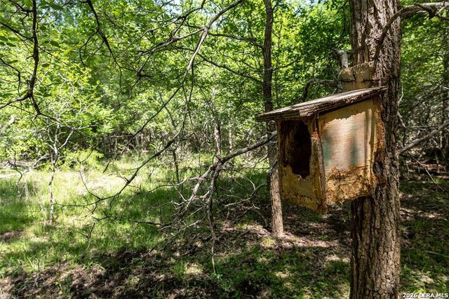 2990 FM 467, Seguin, TX 78155
