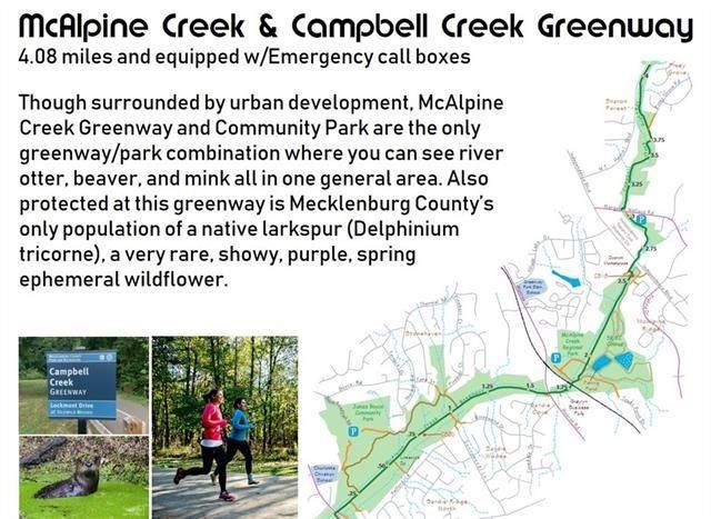 7924 E Lane Drive, Charlotte, NC 28212