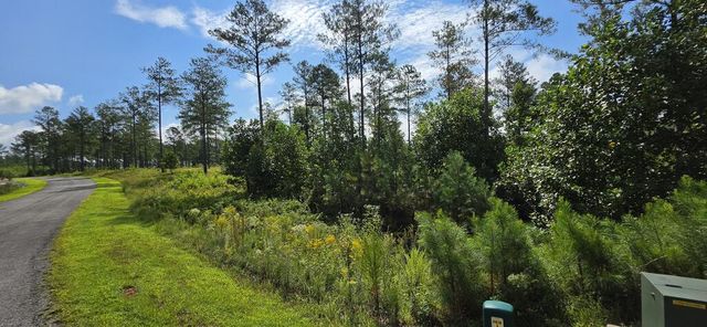 Lot 65 High River Landing, Ellijay, GA 30540