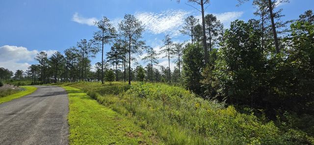 Lot 65 High River Landing, Ellijay, GA 30540