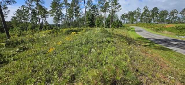 Lot 65 High River Landing, Ellijay, GA 30540