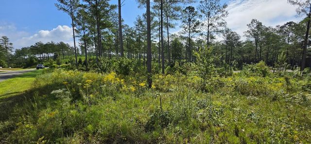 Lot 65 High River Landing, Ellijay, GA 30540