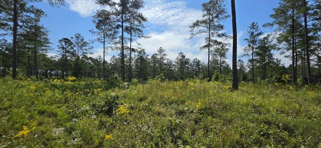 Lot 65 High River Landing, Ellijay, GA 30540