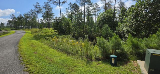 Lot 65 High River Landing, Ellijay, GA 30540