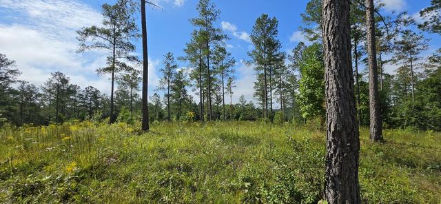 Lot 65 High River Landing, Ellijay, GA 30540