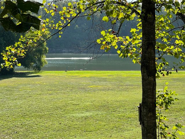 441 Cane Cove Road, Cape Fair, MO 65624