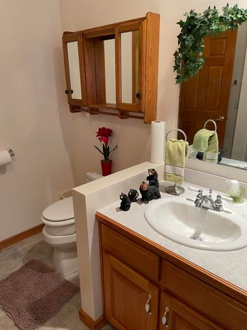 441 Cane Cove Road, Cape Fair, MO 65624