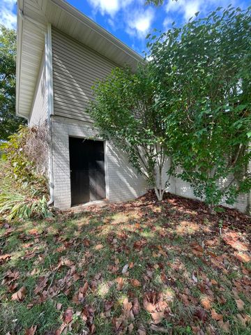 441 Cane Cove Road, Cape Fair, MO 65624