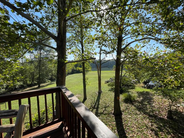 441 Cane Cove Road, Cape Fair, MO 65624